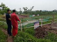 ������������ˮƽ��Ч�A��������ʩ������