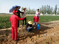 ����ԭ�͹ܵ������@��һ��