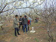 �����͚�ܵ��o(w��)�˙CѲ�z���L(f��ng)�U�����Ԅ�(d��ng)�R�e���g(sh��)