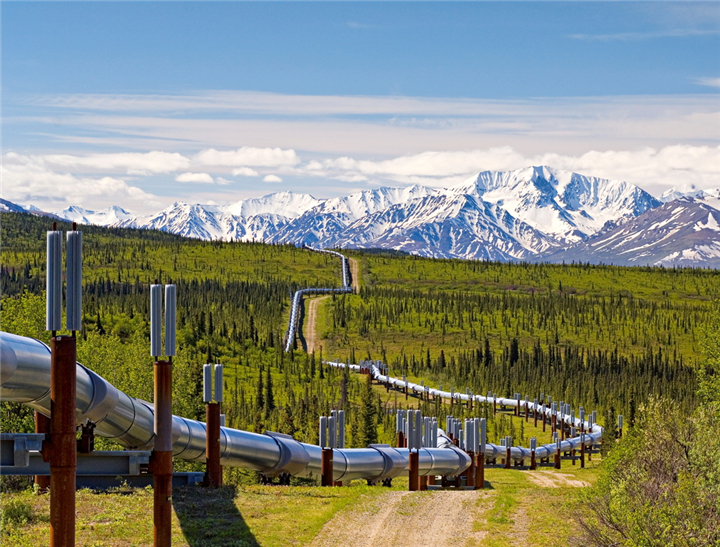 �����͚�ܵ�ע���ƶ��c�O����Ϣ���о�