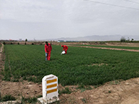 �ۗ���(xi��n)�ߺ���^���톖(w��n)�}������