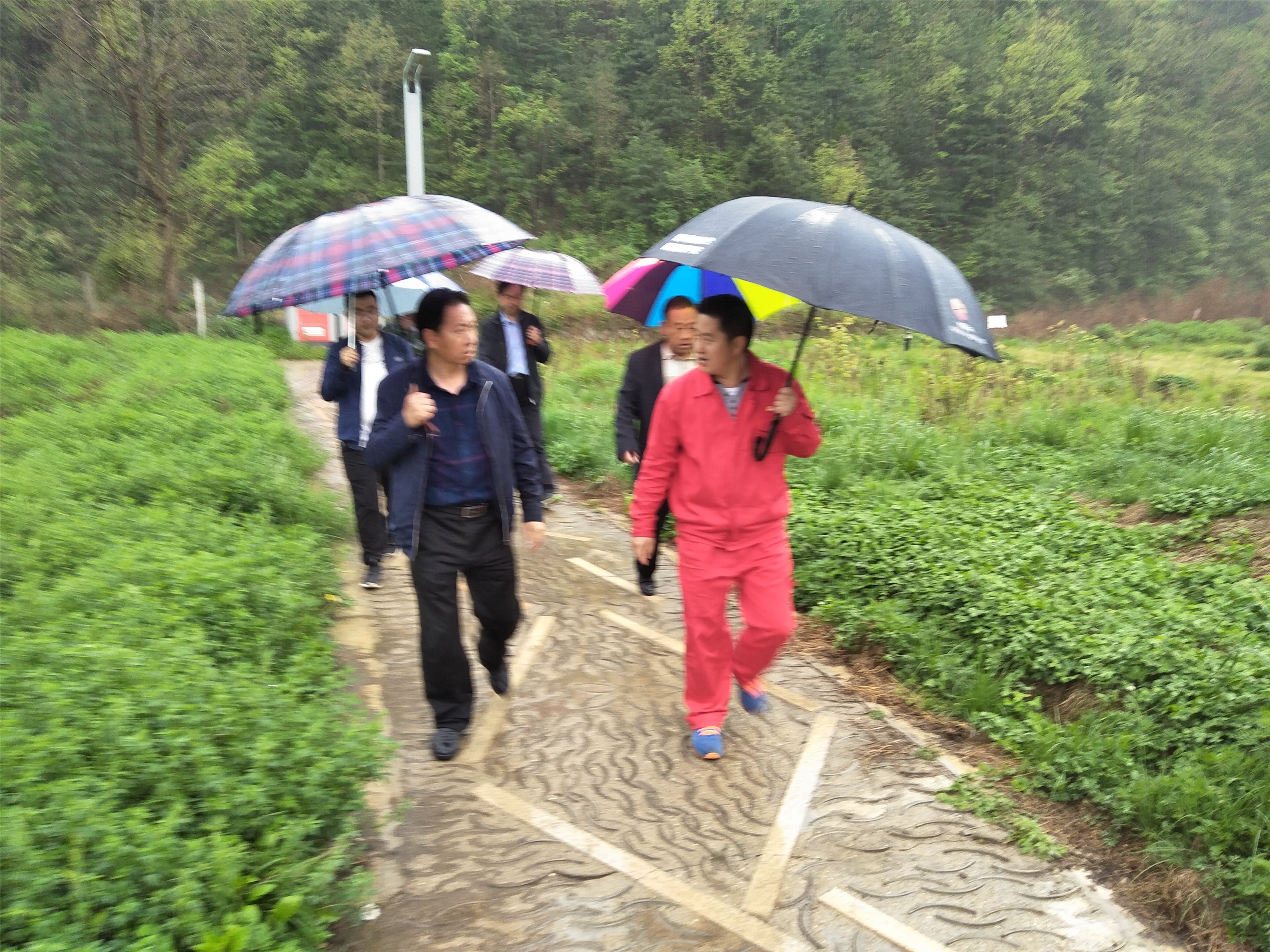 ���������ƙ���ƽ��C�� �_���͚�ܵ���ȫ