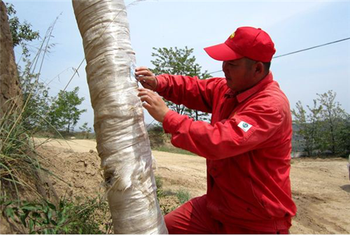 �͚�ܵ����o��(sh��)�`