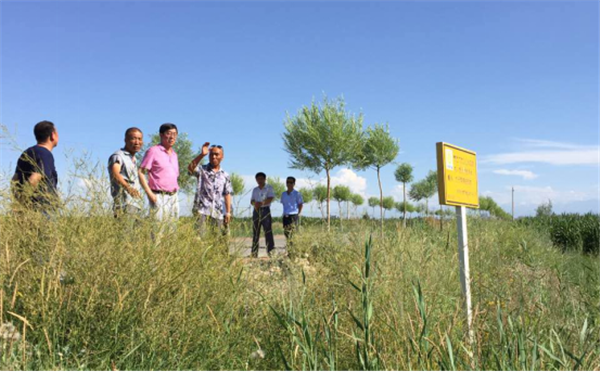 �����ƌW(xu��)���͚�ܵ���ȫ�����wϵ