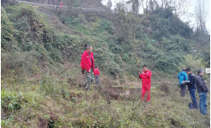 �͚�ܵ����µ��|(zh��)�ĺ��O�y�A�����g(sh��)���о�������