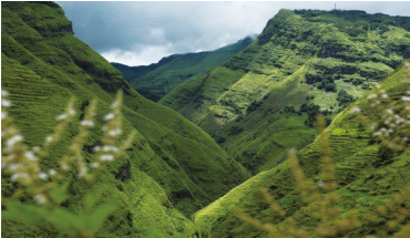 ɽ�^�ܵ����μ�׃���ĺ�Ӱ��c���ؽ��h