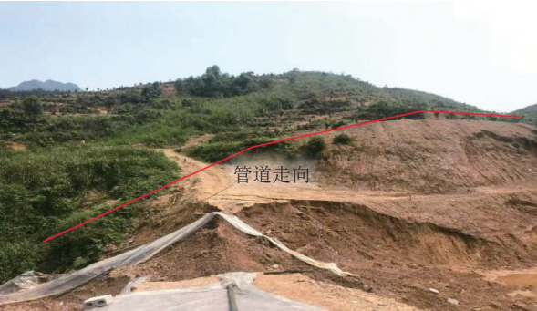 �V�����ȹܵ����|(zh��)�ĺ��l(f��)�����������Ό���