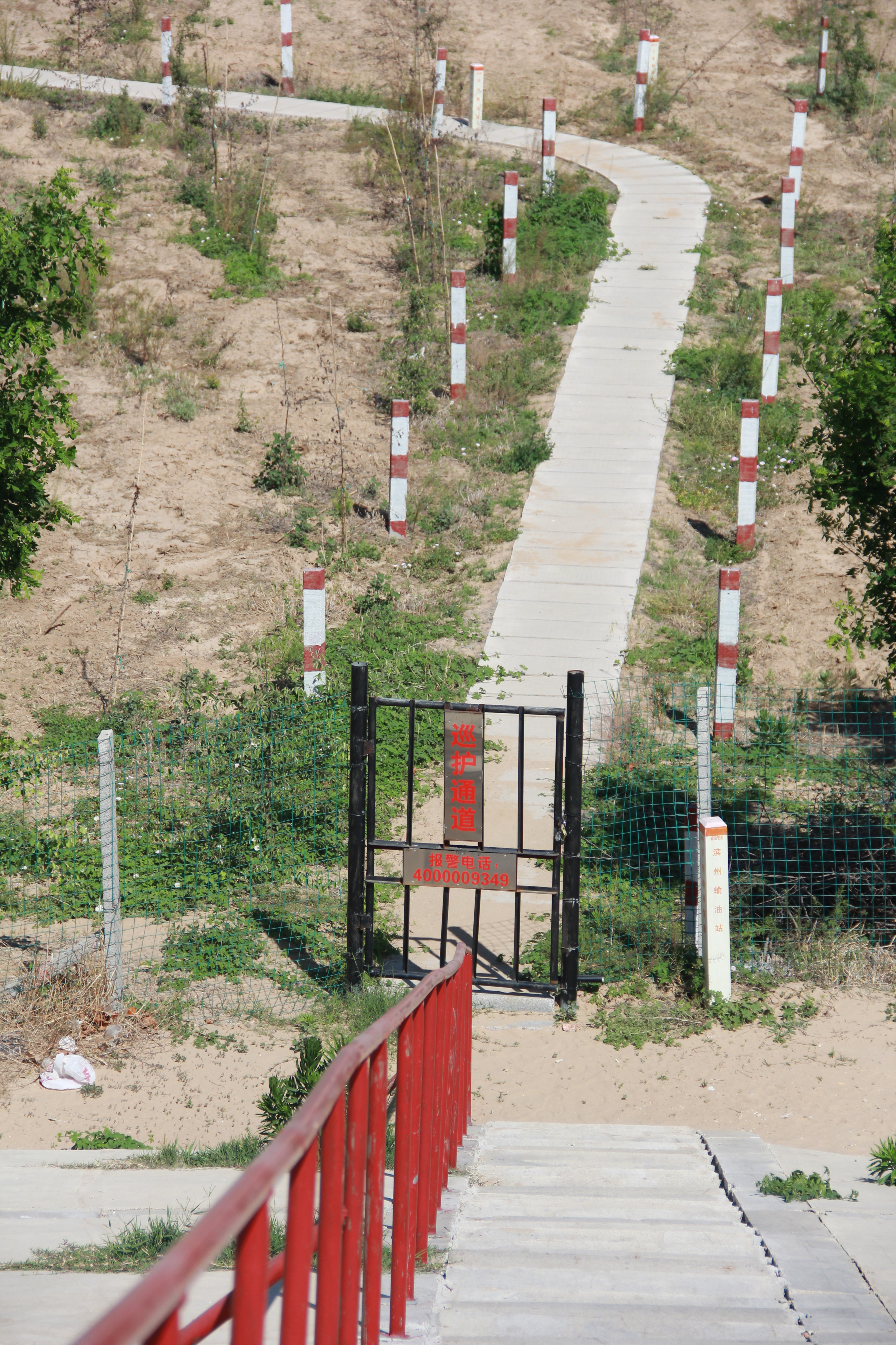 �͚�ܵ����O�õؿ����������Æ�