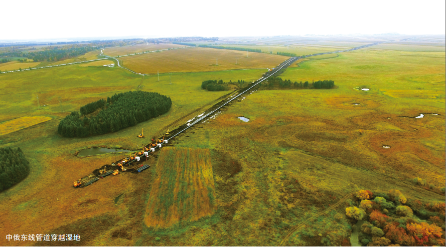 ���W(xu��)܊���P(gu��n)�ژ����ܵ��ИI(y��)���|(zh��)��ȫ�OӋ�wϵ��˼��