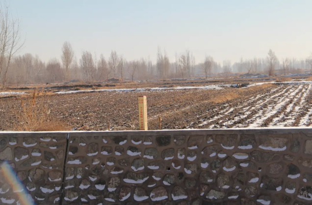 �����ܵ����O���o�c�������gҎ���ąf(xi��)�{��