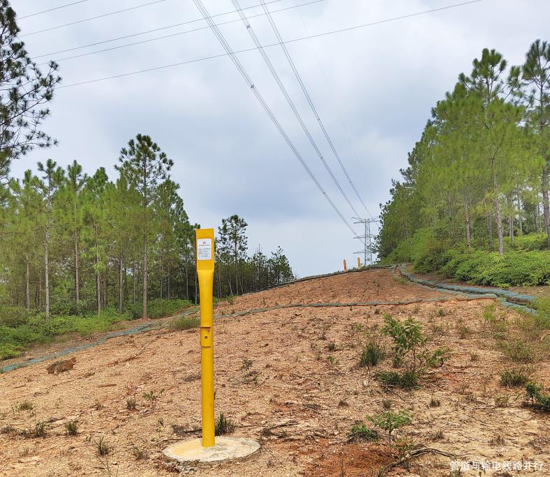 ݔ늾�(xi��n)·�c�͚�ܵ����xҎ���໥�m�Æ�(w��n)�}