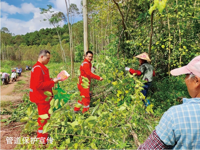 ��Ȼ��ܵ�ɽ���L(f��ng)�U���������،�(sh��)�`